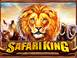 Safari King game icon